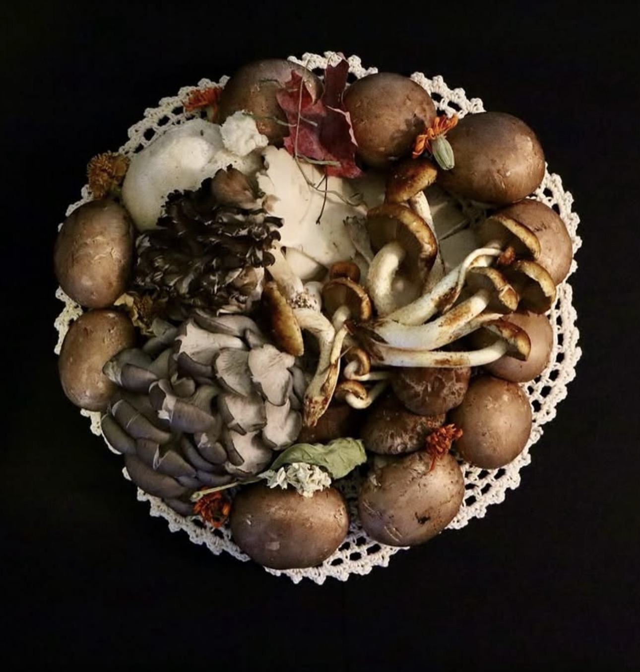 Variety of mushrooms arranged on a crochet doily against black